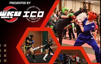 The British International Open