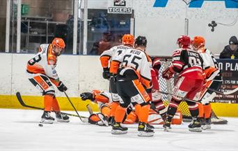 A Telford Tigers Ice Hockey match in action