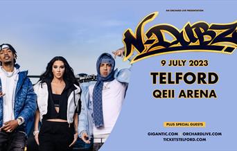 Promotional flyer for N-Dubz tour