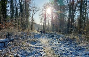 snow walk