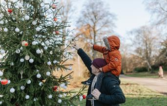 a parent and child viewing a Christmas tree in the park