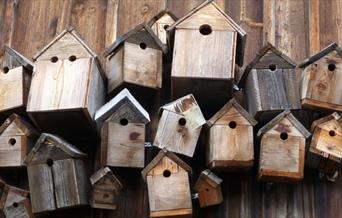 collection of bird boxes