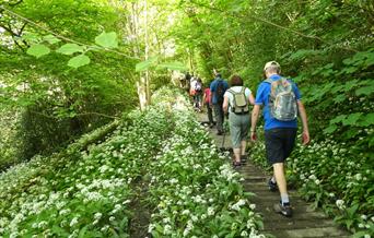 Ironbridge Walking Festival