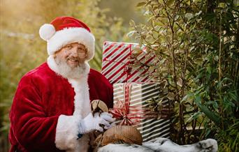 Christmas at Exotic Zoo