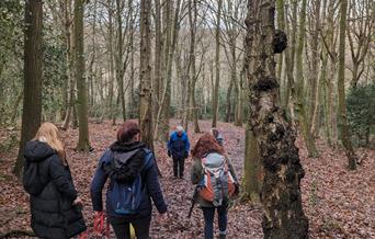 A group of walkers