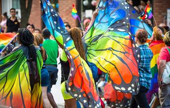 Participants in Oakengates Carnival dressed as butterflies