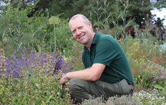 Gardener in herb garden