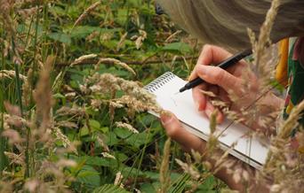 Sketching grasses outside