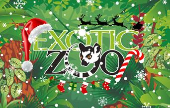 Christmas at Exotic Zoo