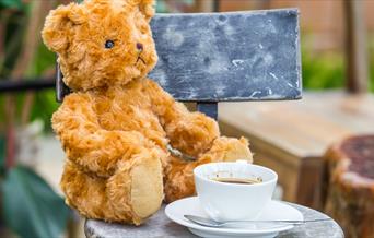 Telford Steam Railway Teddy Bears Picnic