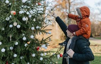 Where's my Reindeer?