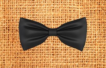 A bow tie on a plain background to promote the Father's Day offer