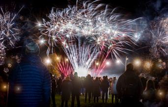 A crowd looking up at the fireworks display