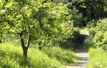 View of Woodside community orchard