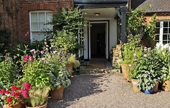 Pots outside the front door at Goldstone
