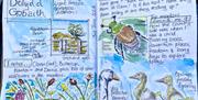 Example pages from a nature journal