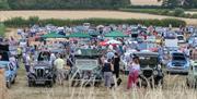 Classic motor day event with the classic vehicles lined up through the field.