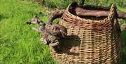 Large Willow Basket