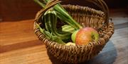 Vine Willow Wood Foraging Basket Workshop