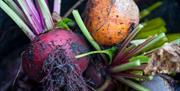 fresh beetroots