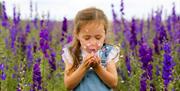 Little girl blowing flower petals out of her hands stood amongst flowers at Shropshire petal field