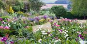 view of the goldstone garden