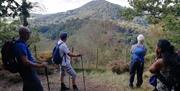 View of the Wrekin from The Ercall