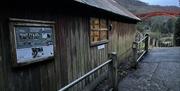 The Old Shed at night