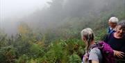 Misty view of The Wrekin