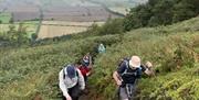 Rough Wrekin