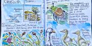 An example of some nature journal pages