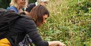 People observing nature