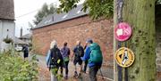 Shropshire Way and T50