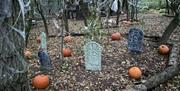 Pumpkin picking in the woods at Exotic Zoo