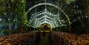 Festive Winter Gardens in Telford Town Park 2022