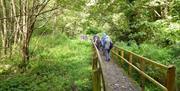 Walkers on the 50 walking route in Telford