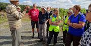 Walkers visiting a Vinyard