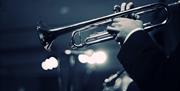 Person playing the trumpet