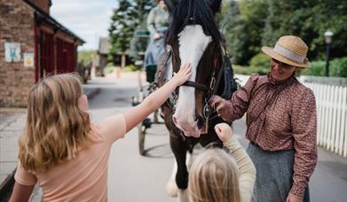 Two young girls reaching up to touch the nose of a brown and white horse