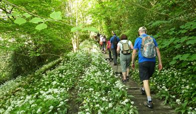 Ironbridge Walking Festival
