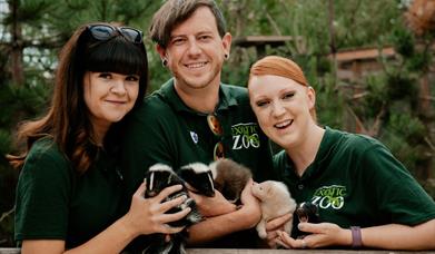Exotic Zoo Wildlife Park Experiences