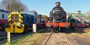 Some of the locomotives that may be seen at Telford Steam Railway