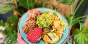 A plate with a colourful salad; there is a bed of mixed leaves, topped with homemade slaw, quinoa, beetroot humous and smashed minted peas.
