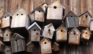 collection of bird boxes