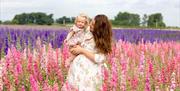 Mother and child stood in Shropshire Flower Field