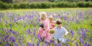Children running through Shropshire flower field