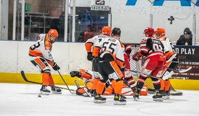 A Telford Tigers Ice Hockey match in action