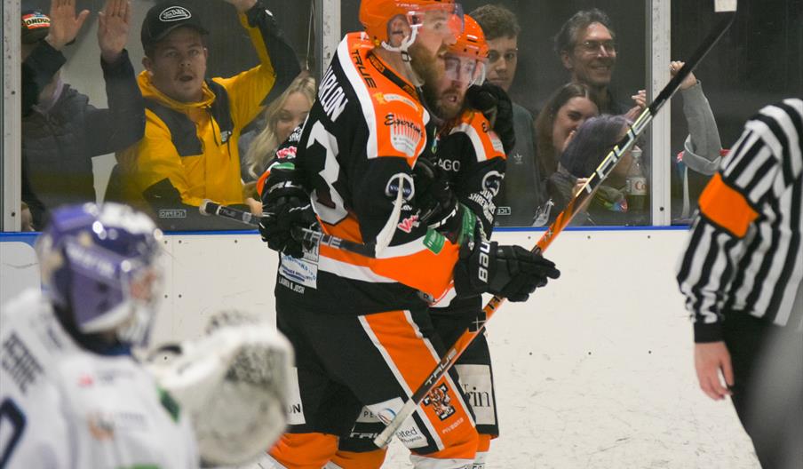 A Telford Tigers match in action