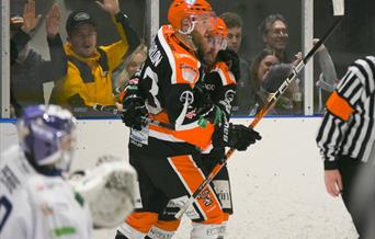 A Telford Tigers match in action