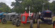 Old tractors on display at Newport Show